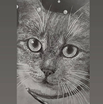 一括査定を行ったMIHO様