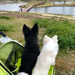 一括査定を行ったやじ様