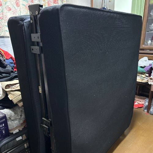 ニトリ　電動折りたたみベッド(セレサ3 ポケットコイル)