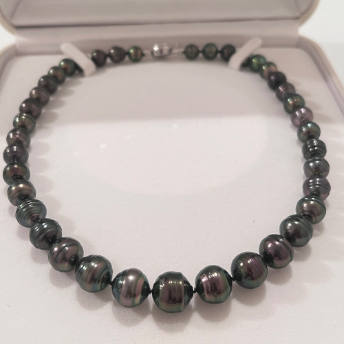 黒蝶真珠ネックレス