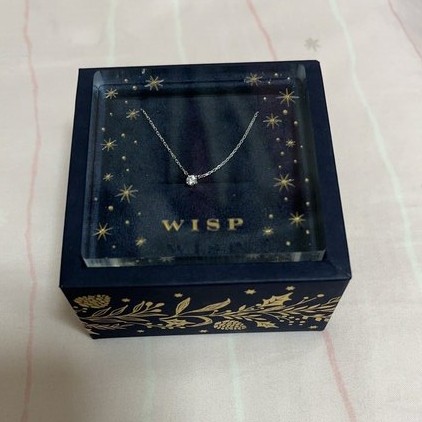 WISP 品番:QPCWP 21702