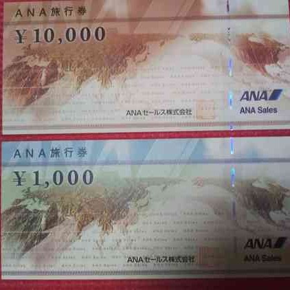 ANA旅行券