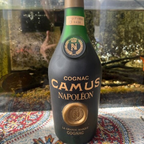 カミュナポレオンT5416