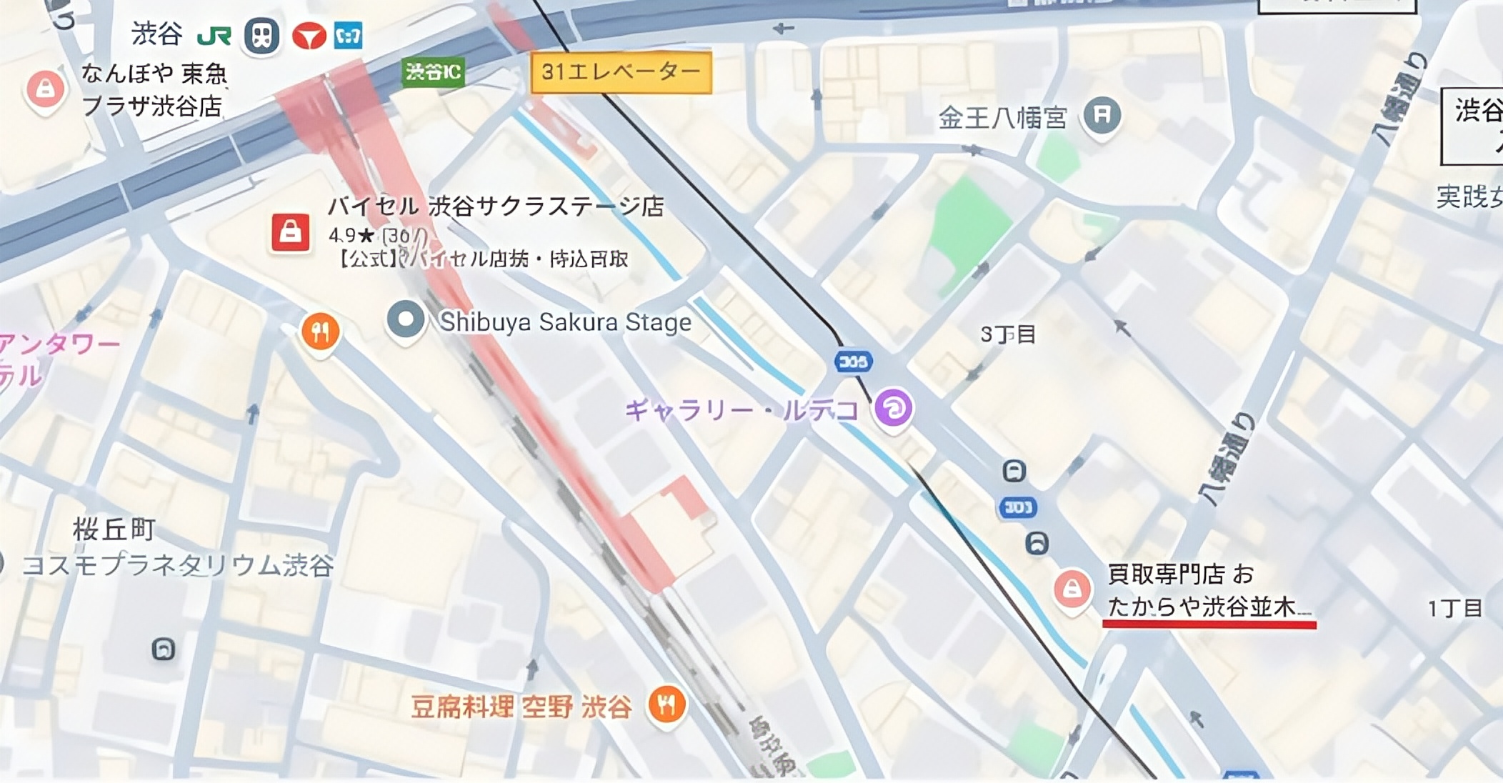 並木橋周辺