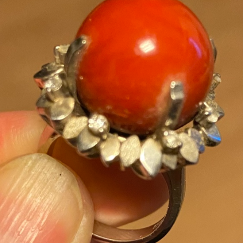 血赤珊瑚リング、デザインは井伏鱒二の息子作家物、玉は15㍉