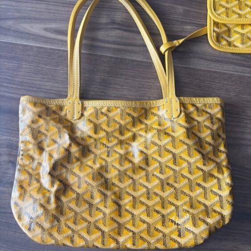 サンルイアンジュミニ