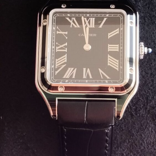 カルティサントスドゥモンWSSA0046