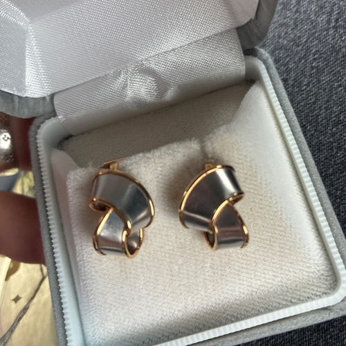 金とプラチナイヤリング