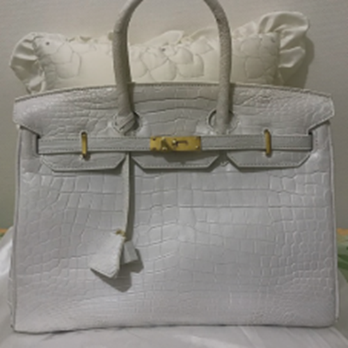 クロコニロティカス バーキン型