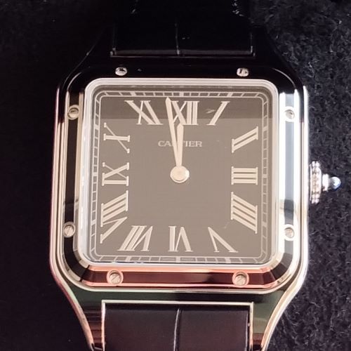 カルティサントスドゥモンWSSA0046