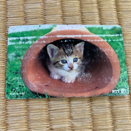 テレホンカード