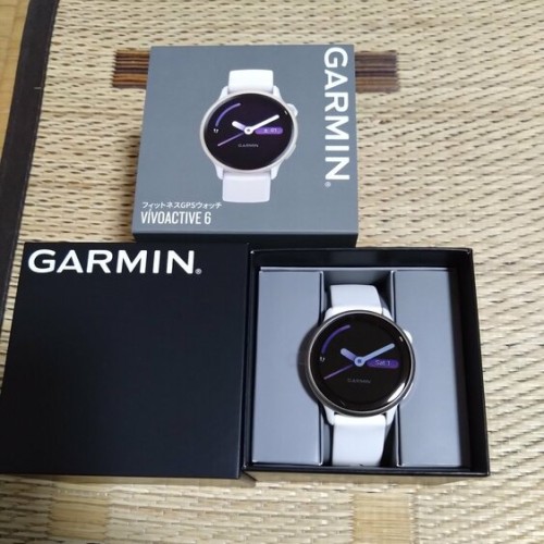 ガーミンvivoactive6