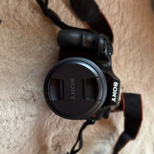 ソニーα65 SLT-A65V