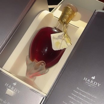 ブランデー ハーディ