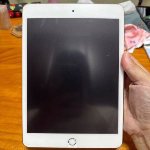 iPadmini