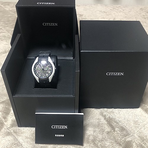 シチズン　プロマスター　サテライトウェーブエコドライブ