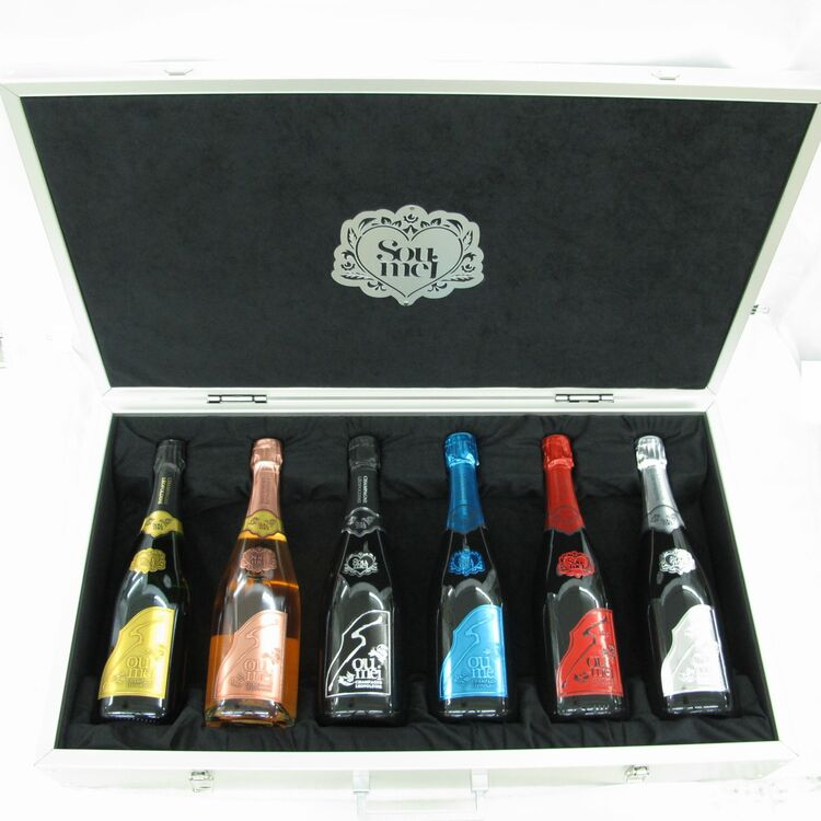 ソウメイのアタッシュケース