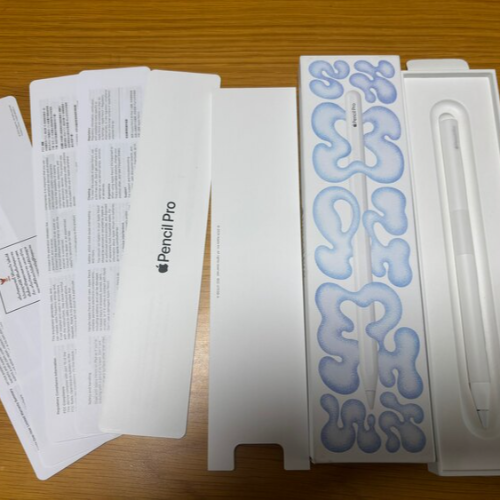 Apple Pencil Pro【iPad mini (A17 Pro)・13イ