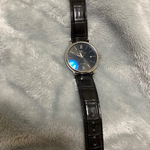 ポートフィノ オートマティック IW356502