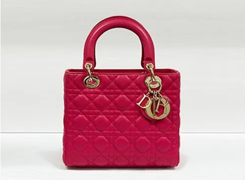 CHRISTIAN DIOR レディディオール
