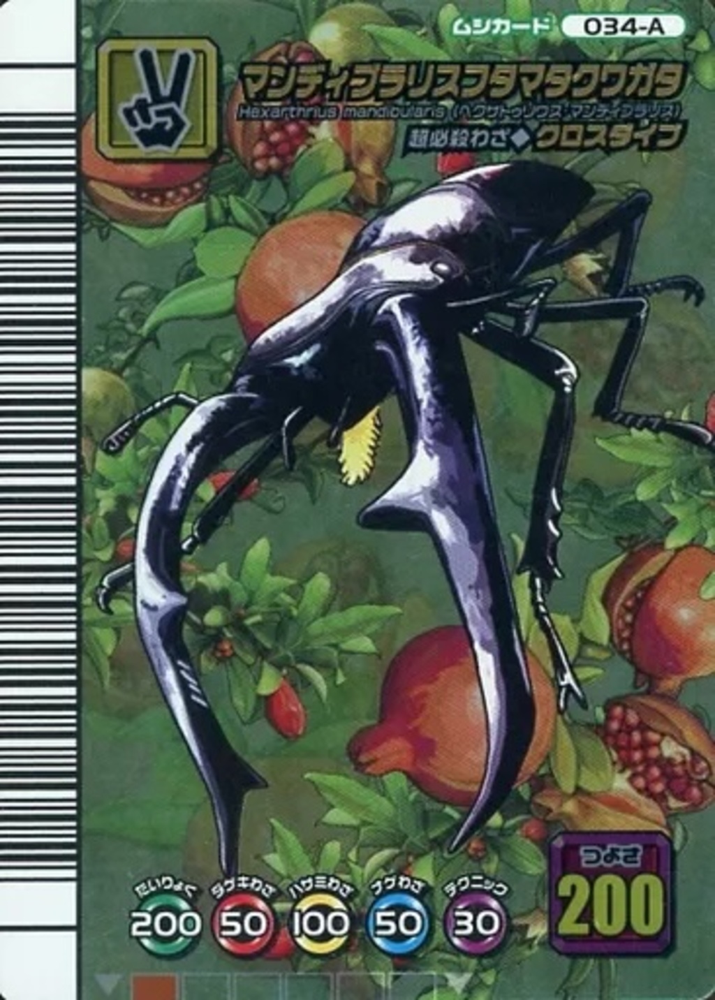 034-A:マンディブラリスタクマタケワガタ