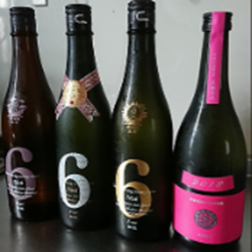 新政 タイプX,R,S,コスモス