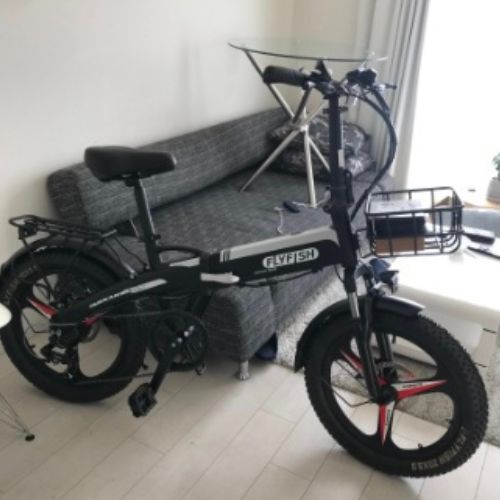 電動アシスト自転車　メーカーFLYFISH