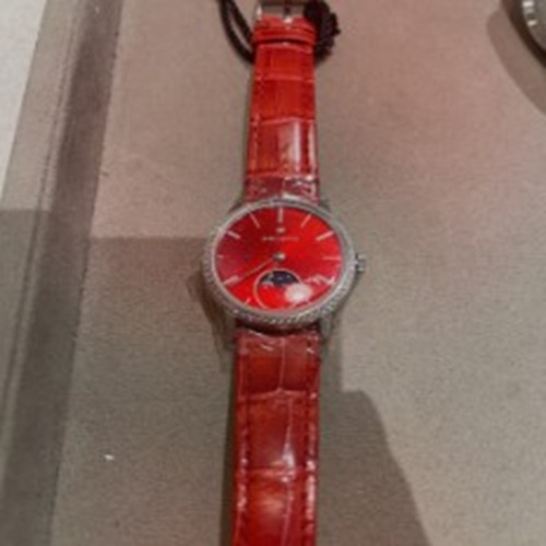 ゼニス エリート 16.2334.692/71C81