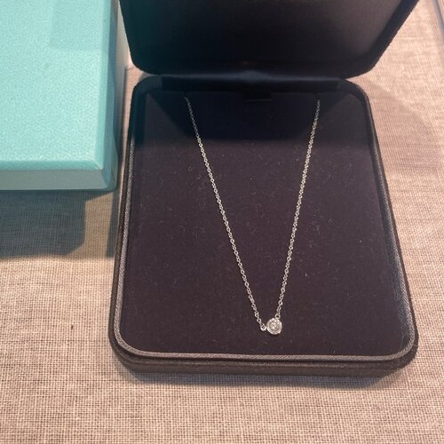 ティファニーバイザヤードネックレス