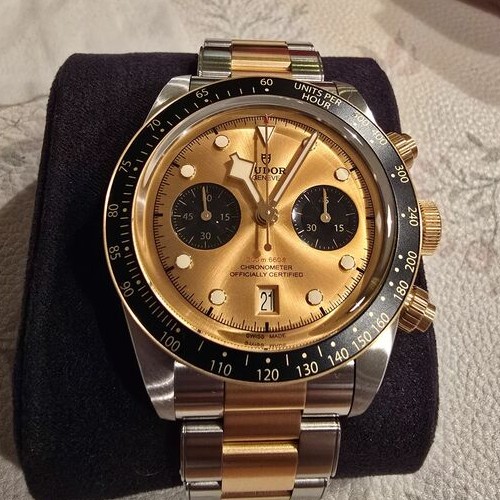 チューダー ブラックベイ 79363N