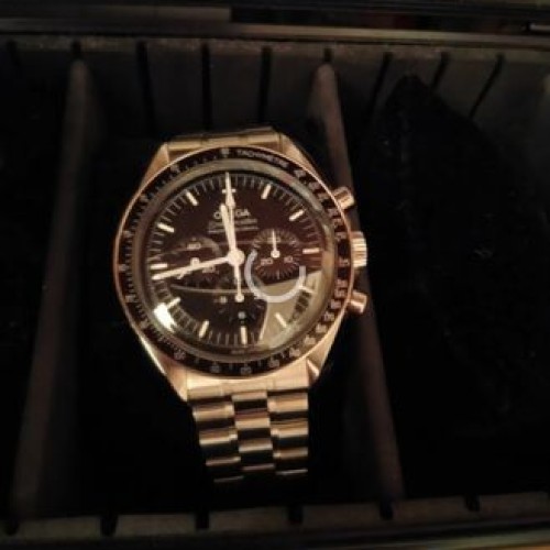 プロフェッショナルムーンウォッチ