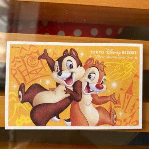 東京ディズニーリゾートパークチケット