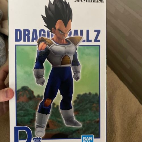 ベジータ MASTERRISE D賞