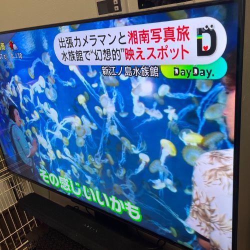 ハイセンス55U8N ミニLED液晶テレビ