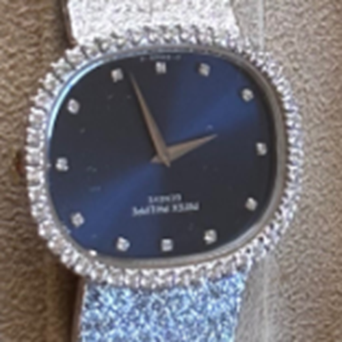 ゴールデンエリプス