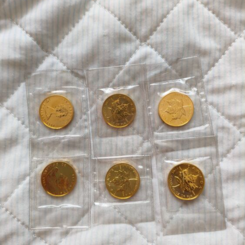 メープルリーフ金貨　1/2oz✕6