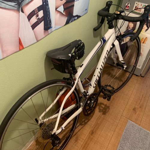 スペシャライズドドルチェスポーツEQ 2015