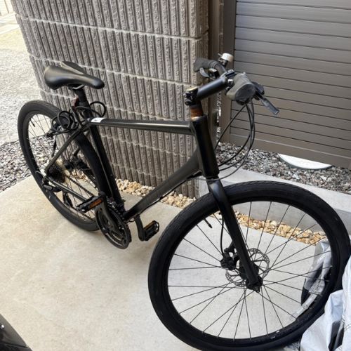 GIANT GRAVIER DISC M サテンダークシルバー