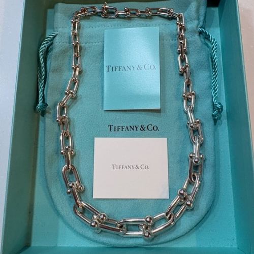 Tiffanyハードウェアグラジュエイテッドリンクネックレス