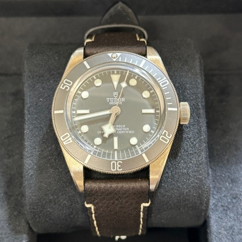 チューダーブラックベイ58 79010SG