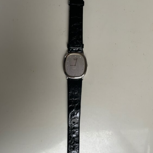 クレドール 900PLATINUM 2F70-619