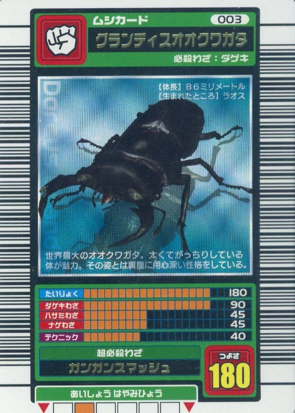 グランディスオオクワガタ(青キラ)