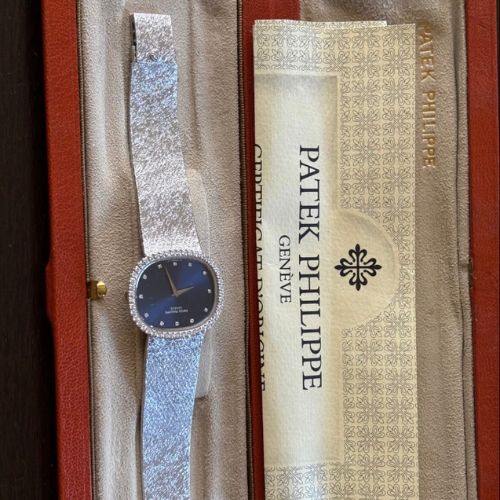 ゴールデンエリプス