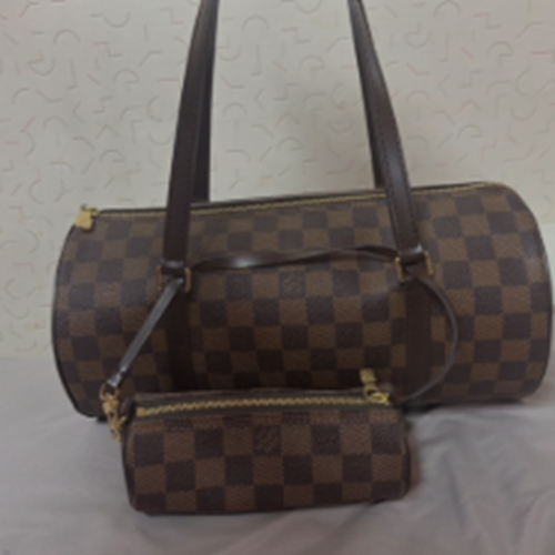 パピヨン30 N51303