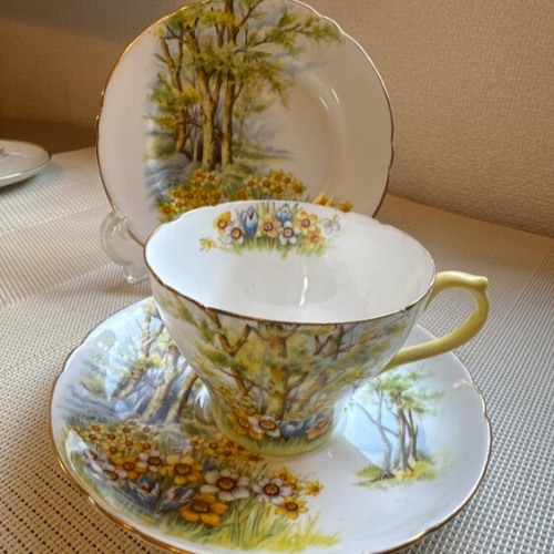 Shellyカップ＆ソーサー