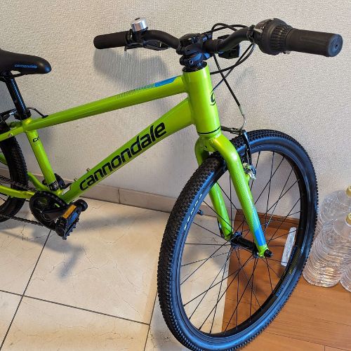 キャノンデール　ジュニア