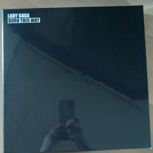 PDJI-1032/40 レディーガガ ピクチャーレコードLPボックス