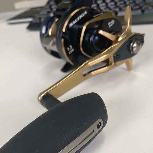 ダイワ '21 ソルティガ IC 300H-SJ