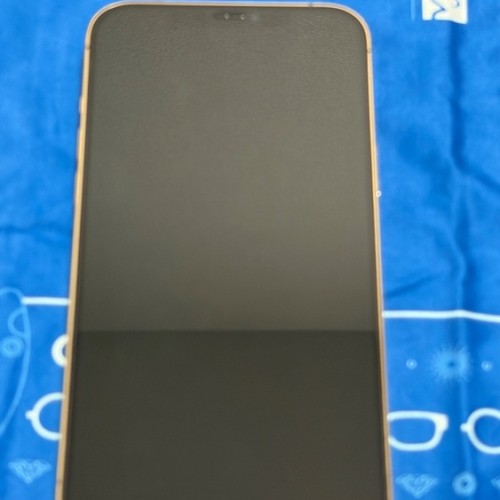iPhone12 ProMAX Gold 25GB