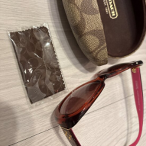 COACH サングラス HC8002A　バーガンディー